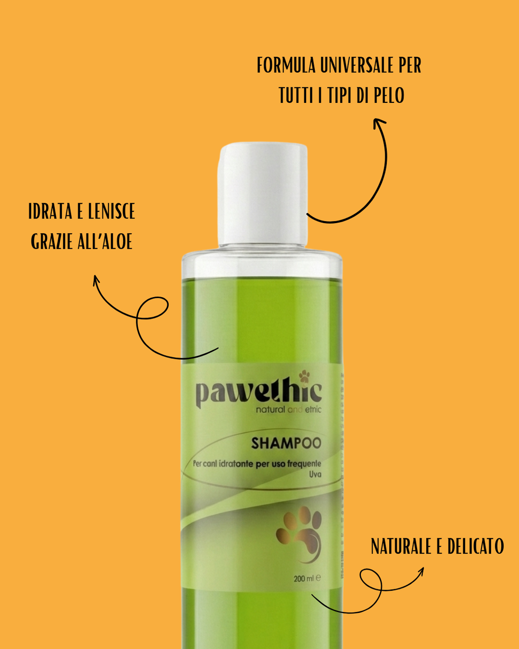 kit shampoo e profumo