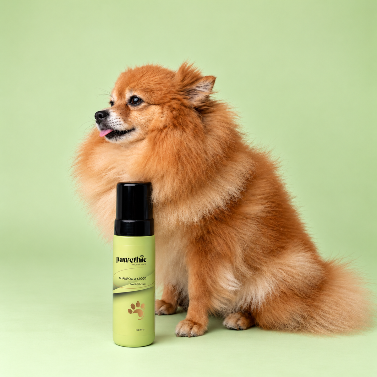 Shampoo a secco